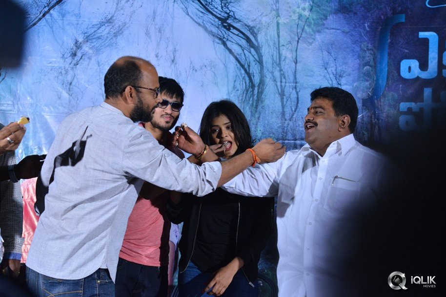 Ekkadiki-Pothavu-Chinnavada-Movie-Thanks-Meet